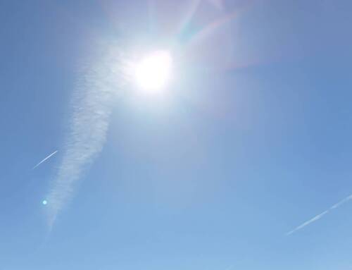 Vigilance jaune pour canicule dans le Var à partir du 15 juillet avec des températures pouvant atteindre 39°C