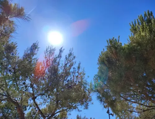 Canicule et mistral au rendez-vous ce mardi 15 juillet 2025 dans le Var