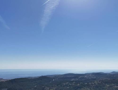Canicule de début d’été : plus de 480 décès en excès recensés en France, la région PACA particulièrement touchée