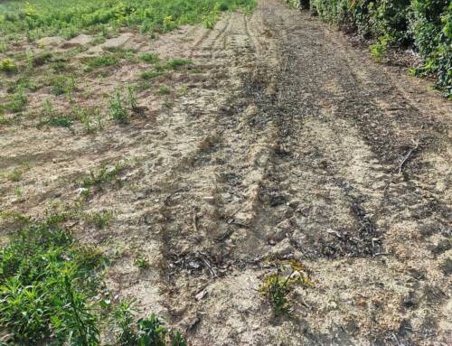 Sécheresse dans le Var : les premières restrictions d’eau mises en place par la préfecture