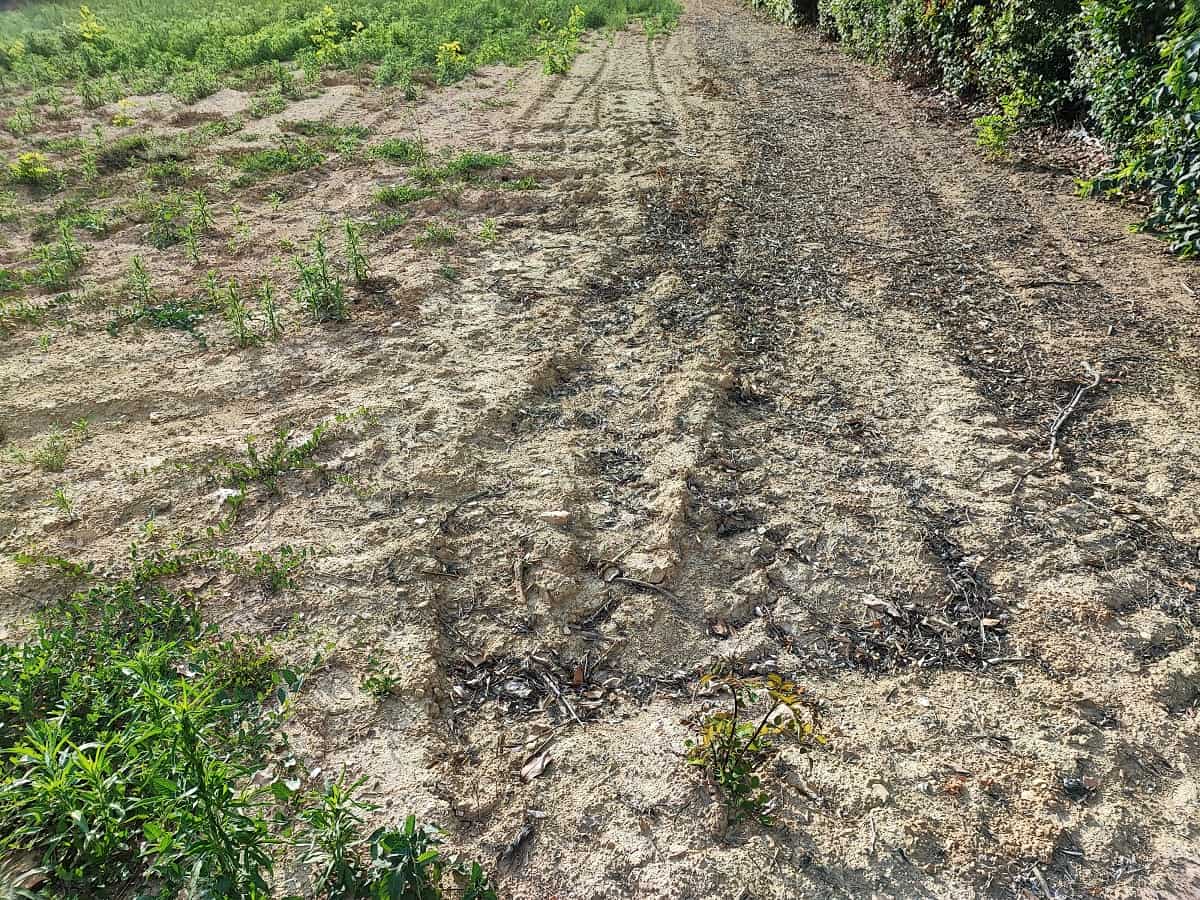 fouilles archéologiques Draguignan sécheresse été 2025 Paca Météo-France agriculteurs gelées var sécheresse février fin restrictions d'eau var var sécheresse hiver humide 2050 PACA séisme Onze communes en alerte sécheresse