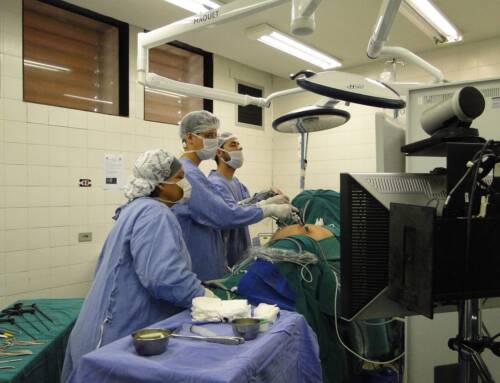 Un vaccin universel contre le cancer utilisant l’ARN messager montre des résultats prometteurs
