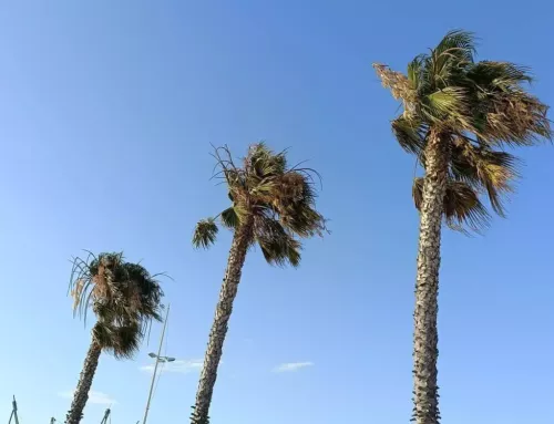 Retour du grand soleil dans le Var ce lundi 21 juillet malgré un mistral bien présent