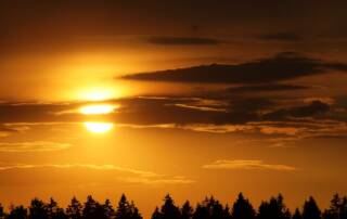 Vitamine D3 pourquoi est-elle plus efficace que la vitamine D classique
