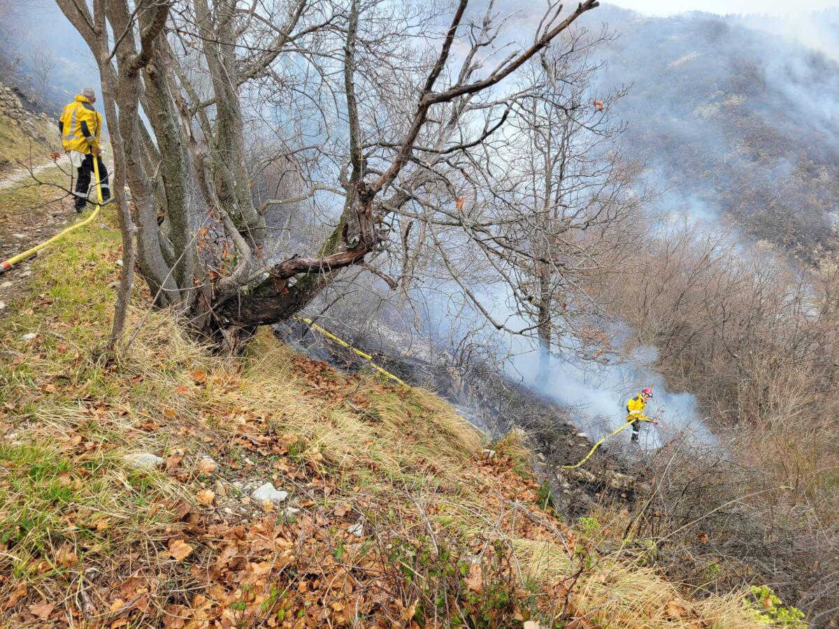 Feu de broussailles Moulinet 7 juillet