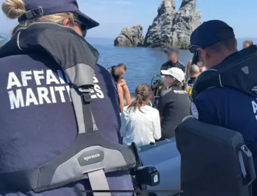 Contrôles renforcés pour les clubs de plongée dans le Var : plusieurs manquements relevés