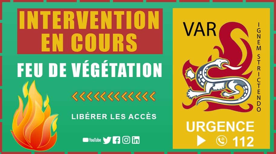feu de végétation