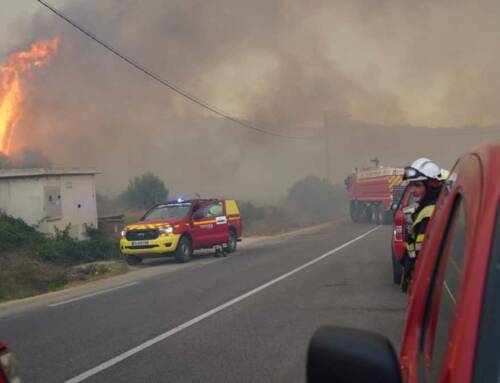Un violent feu de forêt mobilise plus de 450 pompiers à Martigues ce jeudi 17 juillet