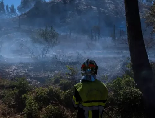 Violent incendie aux Pennes-Mirabeau : 750 hectares brûlés, feu désormais fixé