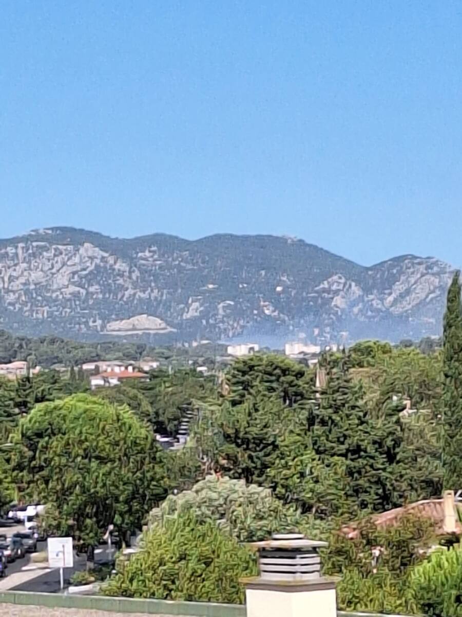 feu de végétation Toulon 8 juillet pompiers