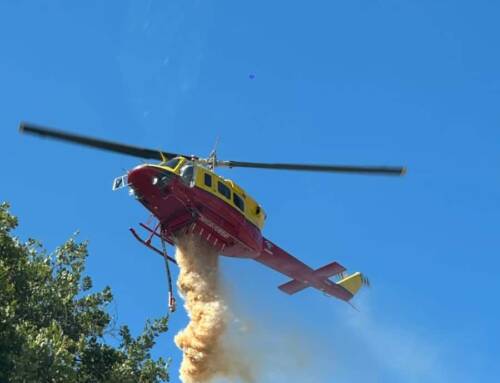 Feu de végétation à Cagnes-sur-Mer ce lundi après-midi : 50 pompiers mobilisés