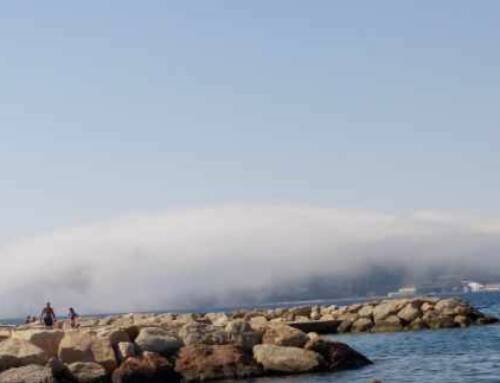 Avant le mistral, la « sague » !