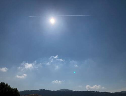 Le Var en vigilance jaune canicule mercredi 16 juillet avec des pics jusqu’à 39°C attendus dans l’intérieur des terres