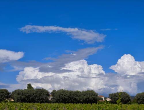 Météo du vendredi 29 août 2025 dans le Var avec soleil, mistral et températures plus fraîches