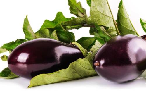 Eau d’aubergine miracle ou mirage pour la santé ?