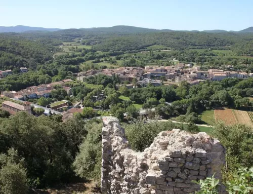 La Commanderie de Peyrassol dévoile ses Jardins Remarquables entre art et nature