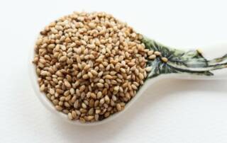 Huile de Sésame Un Trésor Nutritionnel aux Multiples Vertus