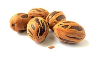 Infusion de noix de muscade