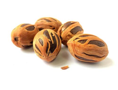 Infusion de noix de muscade : précautions et bienfaits potentiels