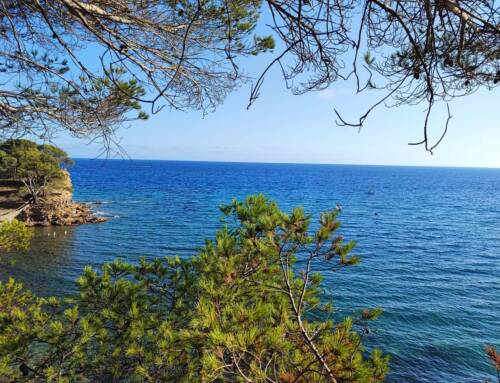 Météo du samedi 30 août 2025 dans le Var une journée d’été sous le soleil et le mistral