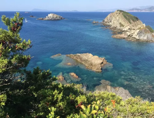 Canicule marine en Méditerranée des températures proches de 30 °C attendues