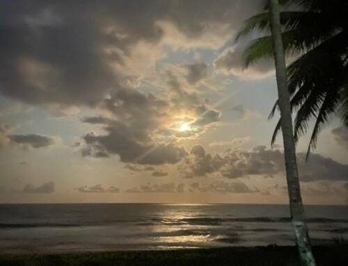 HORIZONS PARTAGES – SAISON 1 – EPISODE 49 : Madagascar : histoires d’une île singulière