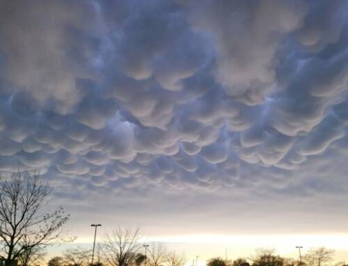 Var : Des nuages mammatus spectaculaires observés au-dessus du département