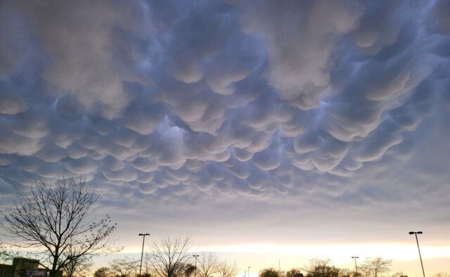 Var nuages mammatus