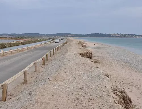 À Hyères, élus et citoyens unissent leurs forces pour protéger le tombolo de Giens menacé