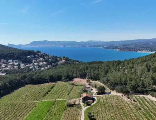 Grand soleil et chaleur modérée ce mercredi 6 août dans le Var