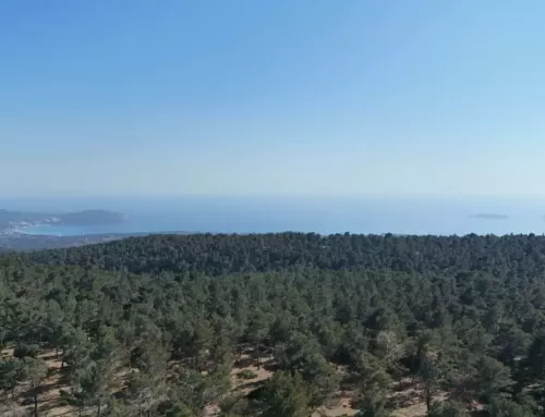 Météo du Vendredi 5 Septembre 2025 dans le Var : Une journée ensoleillée, mais ventée