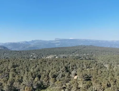 Un dimanche 3 août lumineux dans le Var avec un temps globalement calme et agréable
