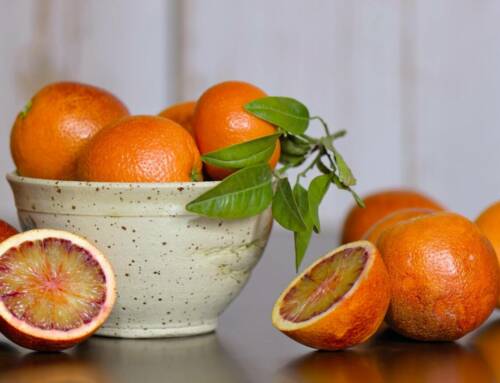 Vitamine B6 (Pyridoxine) : À quoi sert-elle et où la trouver ?