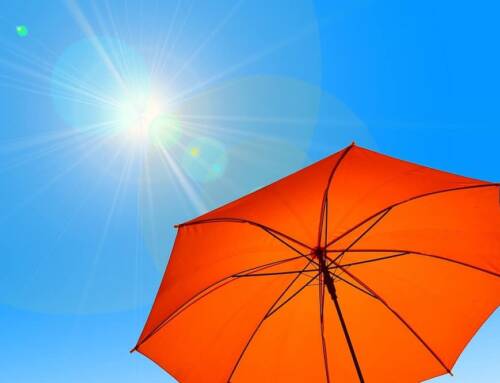 Canicule dans le Var et les Alpes-Maritimes : l’épisode touche à sa fin grâce au retour de la pluie