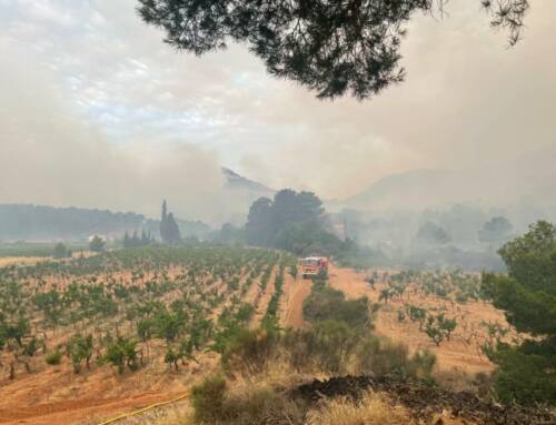 Incendie dévastateur dans l’Aude : les pompiers des Alpes-Maritimes envoyés en renfort à Saint-Laurent-de-la-Cabrerisse