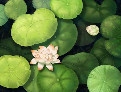 Le Jardin du Réal un écrin de biodiversité et de sérénité au cœur du Var