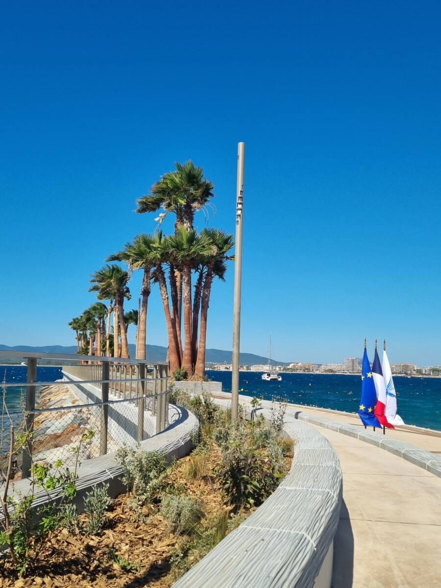 Épi Diana Saint-Raphaël