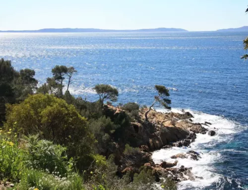 Les sentiers du littoral du Var offrent 200 kilomètres préservés entre mer et nature
