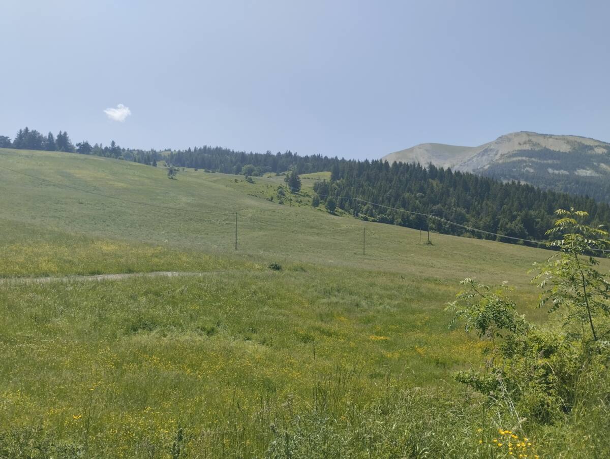 domaine du Fanget