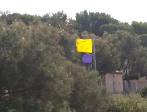 Plages : après les drapeaux « rouge-violet », les « jaune-violet » !