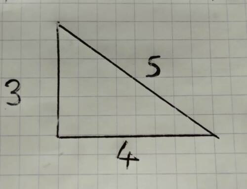 Vendanges : la méthode du 3-4-5 et la réalisation d’un carrement précis 7/7