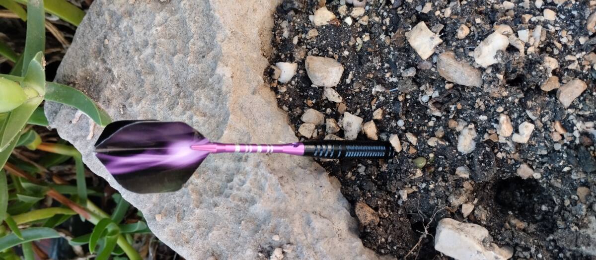 missile dans le jardin