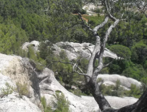 Découverte des grès de Sainte-Anne d’Évenos, un joyau géologique niché sous le massif du Gros Cerveau