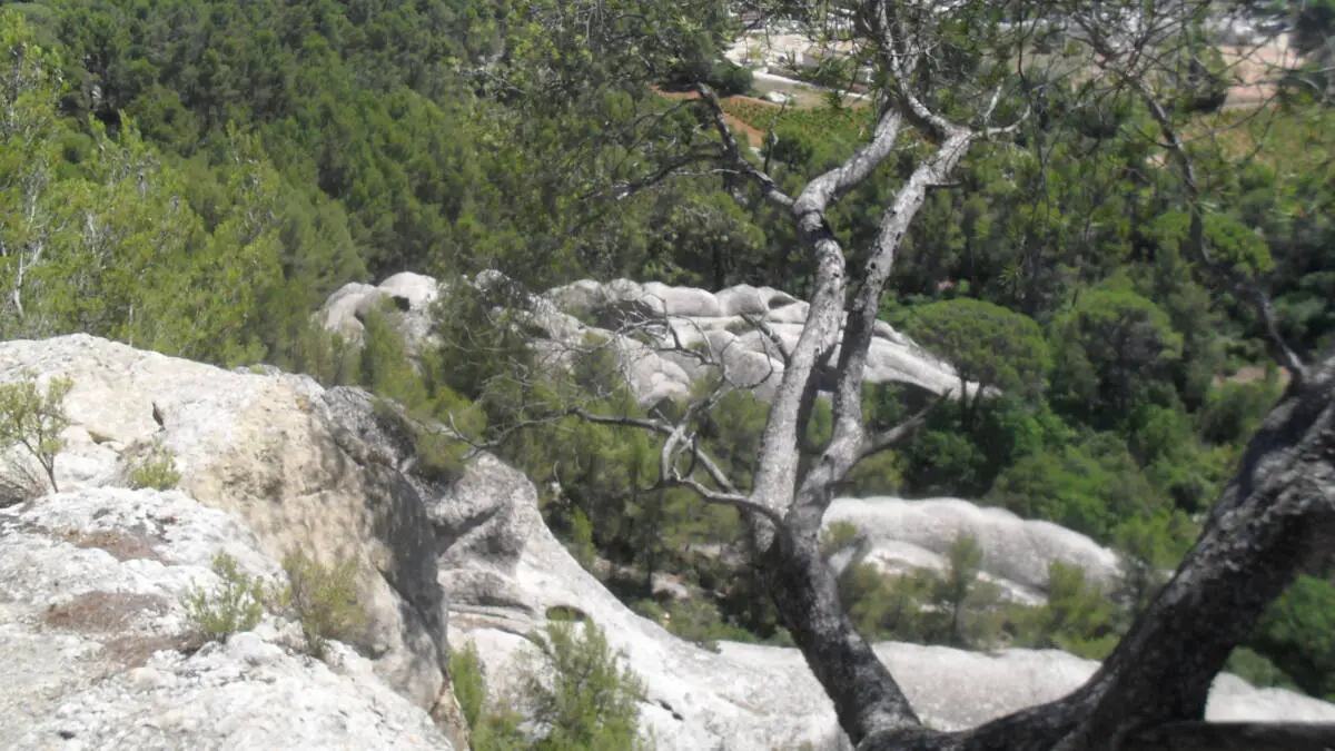 Grès de sainte Anne