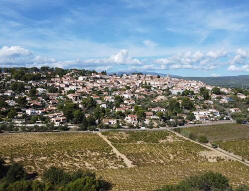 Les animations de novembre à La Cadière-d’Azur promettent découvertes, culture et convivialité