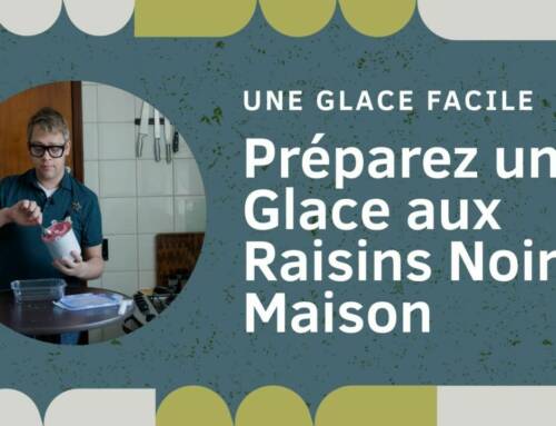 La Glace Maison aux Raisins Noirs : Quand les Épices Subliment le Dessert