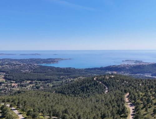 Initiation au longe côte en baie de Bandol ce samedi : entre défi sportif et convivialité
