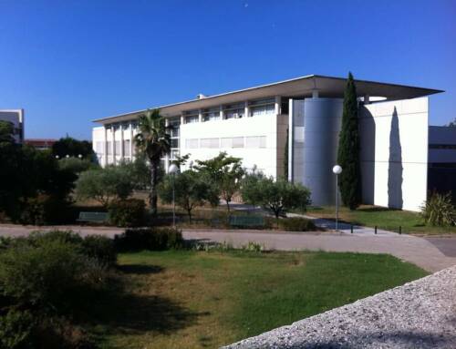 Rentrée universitaire 2025 : un coût moyen de 3 227 euros, la Fage alerte sur la précarité étudiante