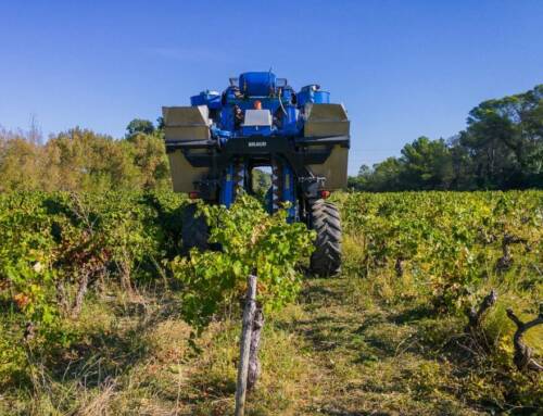 Les vendanges mécaniques gagnent du terrain dans les vignes varoises 6/7