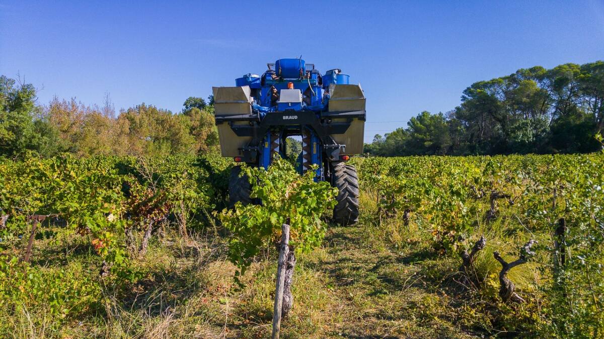 Vendanges mécaniques